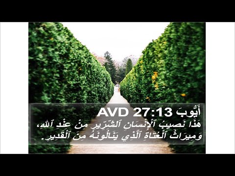 ترنيمة النصف الثاني من #ايوب27: هذا نصيب الإنسان الشرير من عند الله (على وزن ترنيمة #السائح_المسيحي)