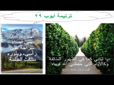 ترنيمة #ايوب29: وعاد أيوب ينطق بمثله فقال يا ليتني كما في الشهور السالفة (ع #ماشي_في_البرية_معايا)