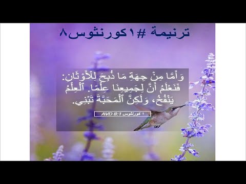 ترنيمة #1كورنثوس8: وأما من جهة ما ذبح للأوثان "لكن لنا إله واحد الآب" (على وزن ترنيمة #وهاعيشلك)