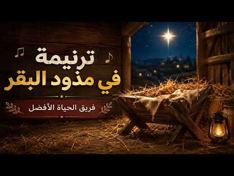 ✨ ترنيمة في مذود البقر – فريق الحياة الأفضل | مونتاج جريس عياد ✨